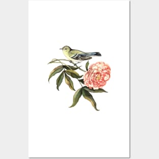 Watercolor bird and flower peony Posters and Art